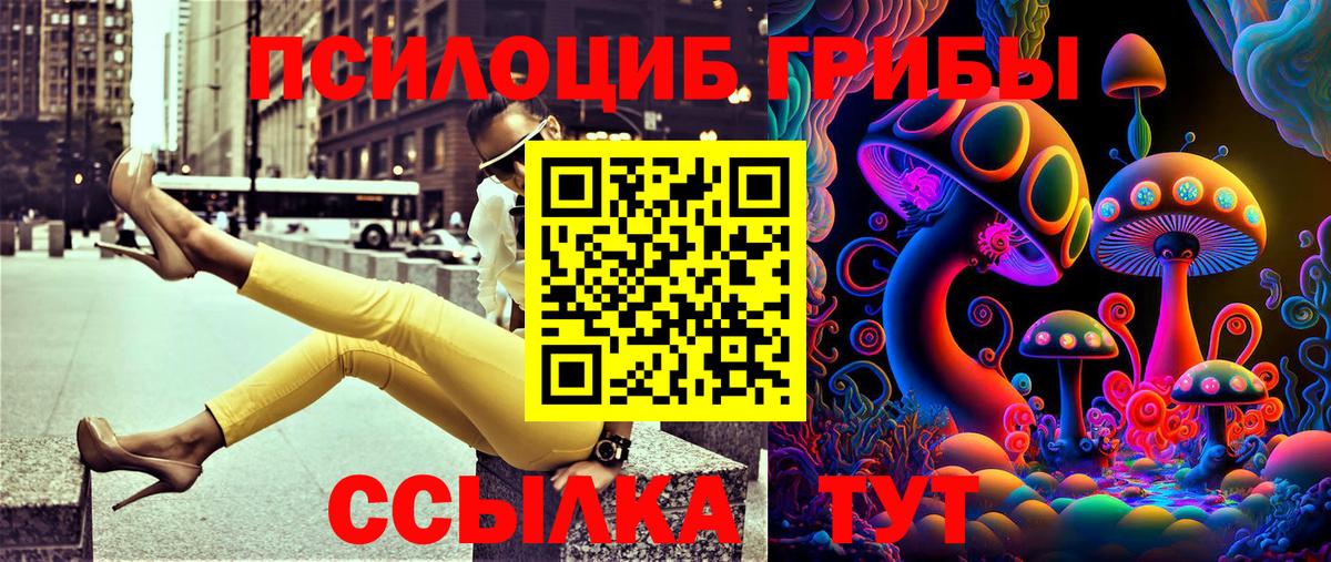 Саянск  где купить наркоту  Вход с VPN  Галлюциногенные грибы Cubensis 